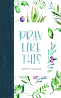 Pray Like This