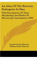 An Atlas Of The Bacteria Pathogenic In Man: With Descriptions Of Their Morphology And Modes Of Microscopic Examination (1899)
