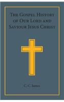 Gospel History of Our Lord and Saviour Jesus Christ: In a Connected Narrative in the Words of the Revised Version