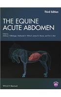 Equine Acute Abdomen