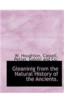 Gleaninig from the Natural History of the Ancients.