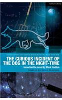 Curious Incident of the Dog in the Night-Time