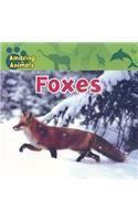 Foxes