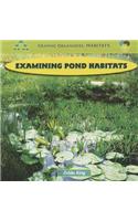 Examining Pond Habitats: (Graphic Organizers: Habitats)