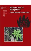 Wildland Fire in Ecosystems