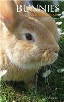 Bunnies Journal Diary (Notebook)
