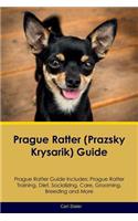 Prague Ratter (Prazsky Krysarik) Guide Prague Ratter Guide Includes: Prague Ratter Training, Diet, Socializing, Care, Grooming, Breeding and More