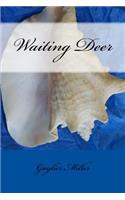 Waiting Deer