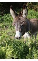 Look at the Sweet Little Donkey Portrait Animal Journal