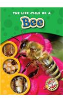 The Life Cycle of a Bee: (Life Cycles)