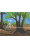 Little Seed's Journey