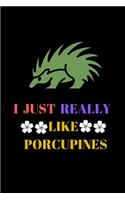 I Just Really Like Porcupines