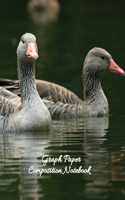 Graph Paper Composition Notebook: Goose - Quad Ruled 4 x 4 100 Pages, Graph Paper Notebooks for Math & Science (Large 8.5 x 11)
