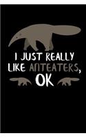 I Just Really Like Anteaters, Ok: Anteater Journal Notebook