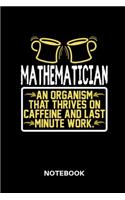 Mathematician - Notebook