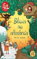 Bliain na Namhran