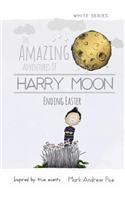 Amazing Adventures of Harry Moon Ending Easter