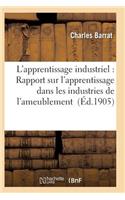 L'Apprentissage Industriel: Rapport Sur l'Apprentissage Dans Les Industries de l'Ameublement