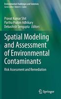 Spatial Modeling and Assessment of Environmental Contaminants