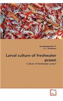 Larval culture of freshwater prawn