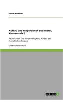 Aufbau und Proportionen des Kopfes, Klassenstufe 7
