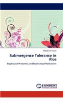 Submergence Tolerance in Rice