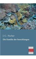 Familie Der Seeschlangen