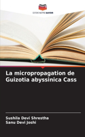 La micropropagation de Guizotia abyssinica Cass