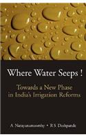 Where Water Seeps!: Towards a New Phase in India's Irrigation Reforms