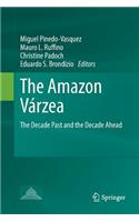 Amazon Várzea: The Decade Past and the Decade Ahead