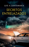 Secretos Entrelazados: Nadie puede escapar de sus errores: Una frenética novela de suspense