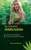 Blooming Marijuana