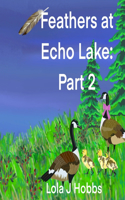 Feathers at Echo Lake Part 2