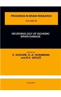 Neurobiology of Ischemic Brain Damage