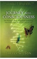 Journey into Consciousness