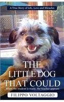The Little Dog That Could