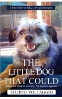 Little Dog That Could