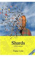 Shards a life in pieces