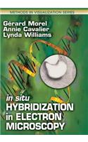 In Situ Hybridization in Electron Microscopy