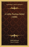 Little Puritan Rebel (1898)