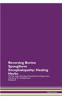 Reversing Bovine Spongiform Encephalopathy: Healing Herbs The Raw Vegan Plant-Based Detoxification & Regeneration Workbook For Healing Patients Volume 8