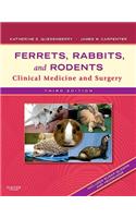 Ferrets, Rabbits, and Rodents