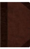 ESV Devotional Psalter