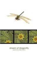Dream of Dragonfly