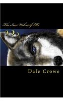 Iron Wolves of Elbe