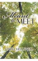 Meant to Meet