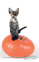 Devon Rex Affirmations Workbook Devon Rex Presents: Positive and Loving Affirmations Workbook. Includes: Mentoring Questions, Guidance, Supporting You.