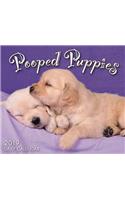 2019 Pooped Puppies Boxed Daily Calendar: By Sellers Publishing