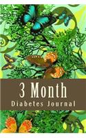 3 Month Diabetes Journal