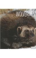 Wolverines: (Living Wild)